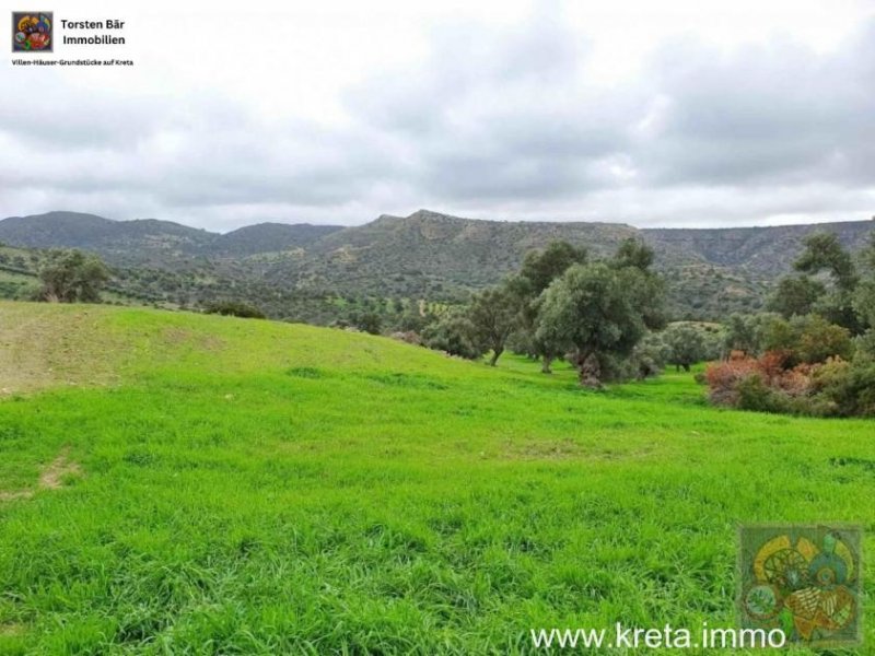 Pitsidia Süd Kreta, Pitsidia Grundstück 18.000m² zu verkaufen Grundstück kaufen